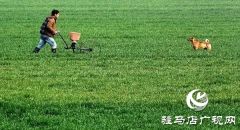 上蔡：“四项措施”保春耕促生产