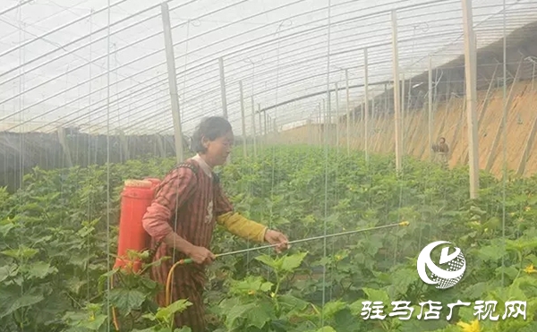 上蔡：“四项措施”保春耕促生产