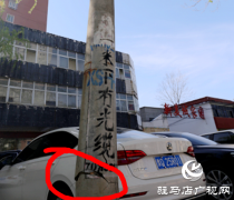 长期未处理 驻马店市智慧城市管理中心曝光4起典型案例