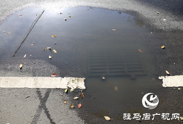 长期未处理 驻马店市数字化城市管理中心曝光4起典型案例