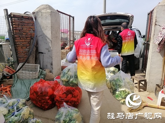 天中义工联合会出手 菜农王松涛200亩有机花菜有了销路