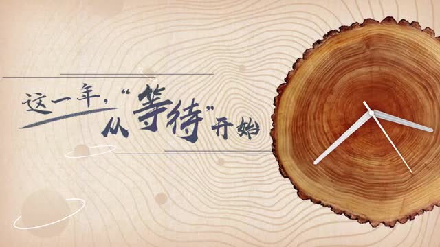 春分丨这一年从“等待”开始