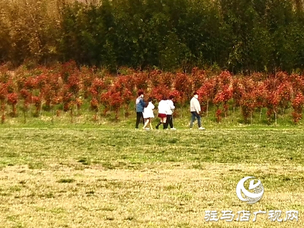 嵖岈山恢复开园 首日迎客2600多人