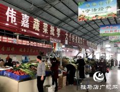 我们的大驻马她回来了