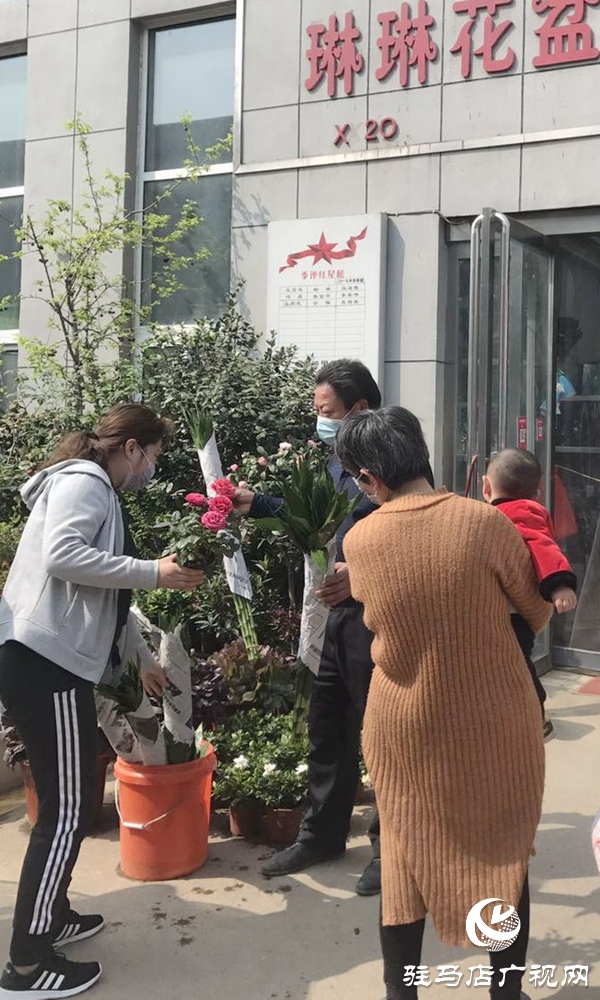 我们的大驻马她回来了