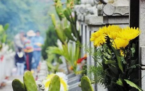 民政部：清明节各地可暂缓举办群体性祭扫活动