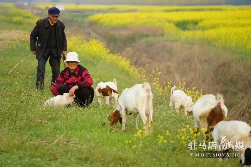 终于等到你，美丽大驻马