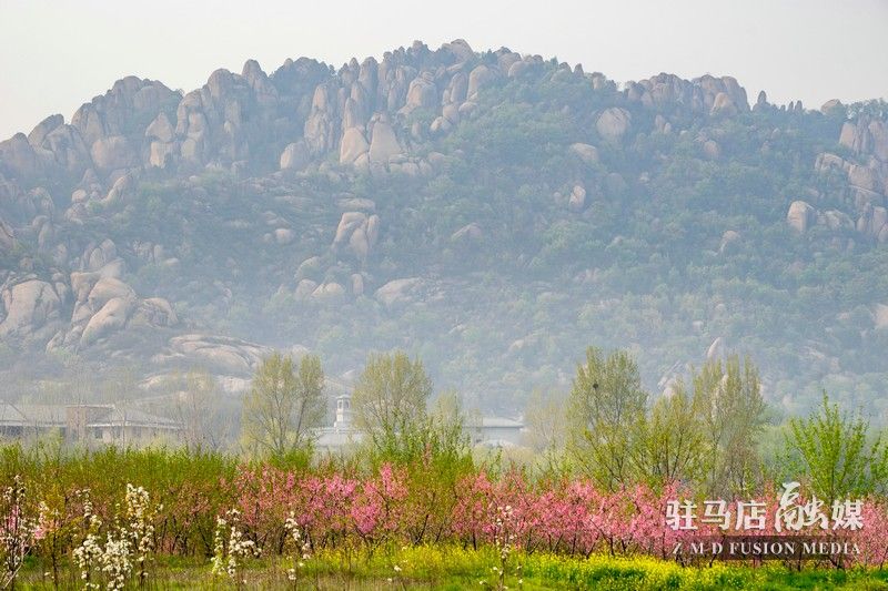 终于等到你，美丽大驻马
