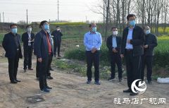 上蔡县领导李卫明调研督导大气污染防治重点城建项目工作