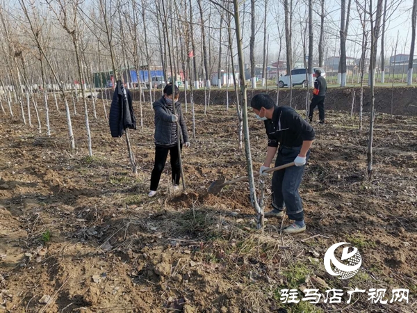 汝南县老君庙镇组建“生态护林员”队伍助力脱贫攻坚