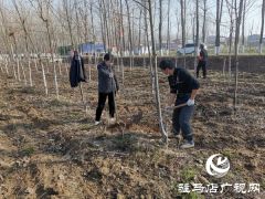 汝南县老君庙镇组建“生态护林员”队伍助力脱贫攻坚