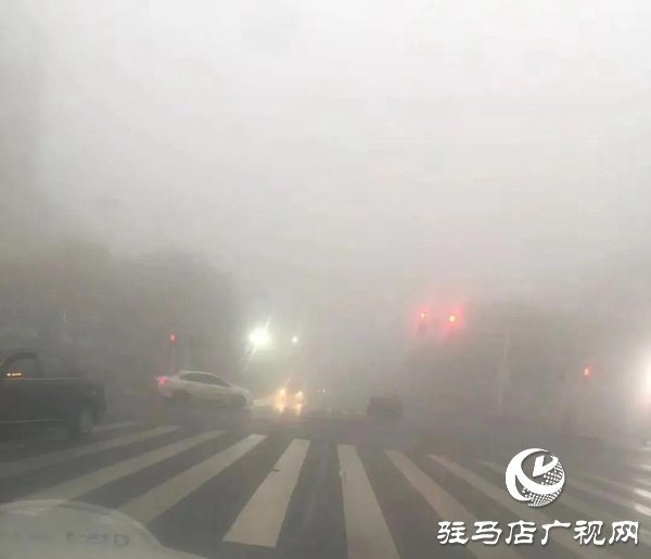 浓雾来袭 省内19条高速实施交通管制