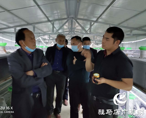 驿城区沙河店镇赵尧村到确山县任店镇考察学习养殖良种肉兔经验