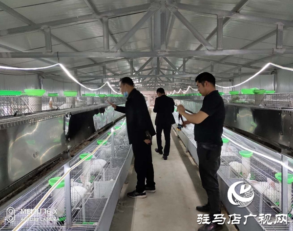 驿城区沙河店镇赵尧村到确山县任店镇考察学习养殖良种肉兔经验