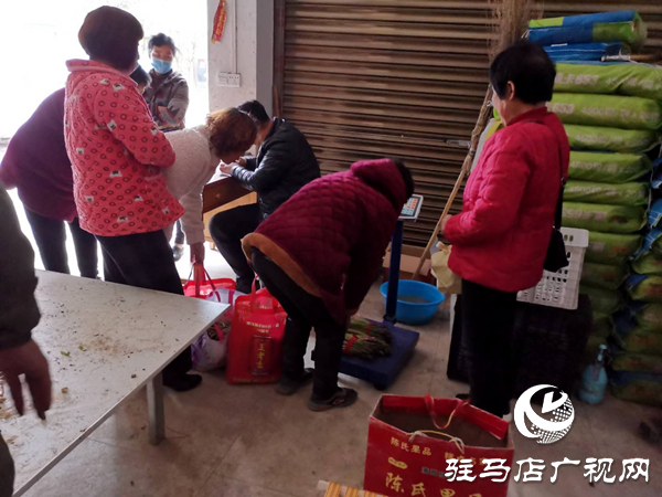 上蔡县小岳寺乡多方扶贫伸援手 芦笋滞销变直销  