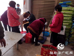 上蔡县小岳寺乡多方扶贫伸援手 芦笋滞销变直销 
