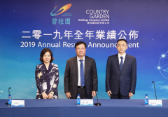 2019碧桂园营收利润双增 一年纳税702亿