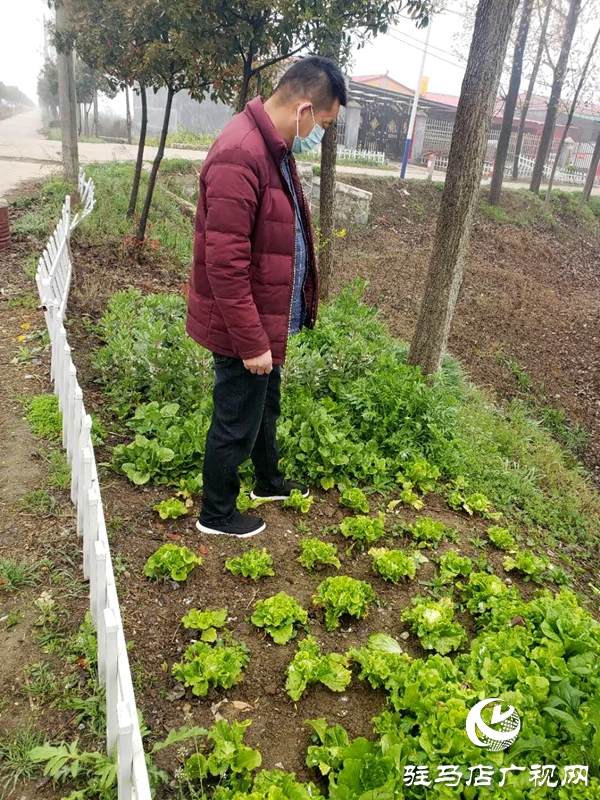 汝南县老君庙镇多举措加强春季禁种铲毒 