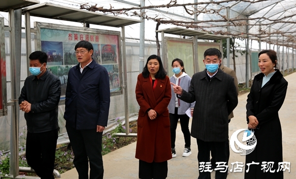 副市长刘晓文到遂平县调研农产品生产运营情况