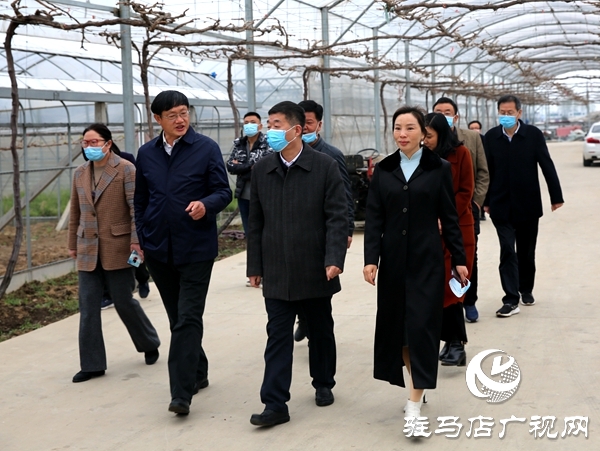 副市长刘晓文到遂平县调研农产品生产运营情况