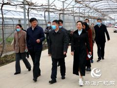 副市长刘晓文到遂平县调研农产品生产运营情况