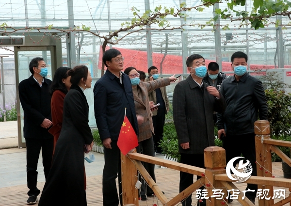 副市长刘晓文到遂平县调研农产品生产运营情况