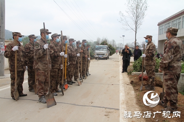 驿城区人武部为帮扶村“披绿”