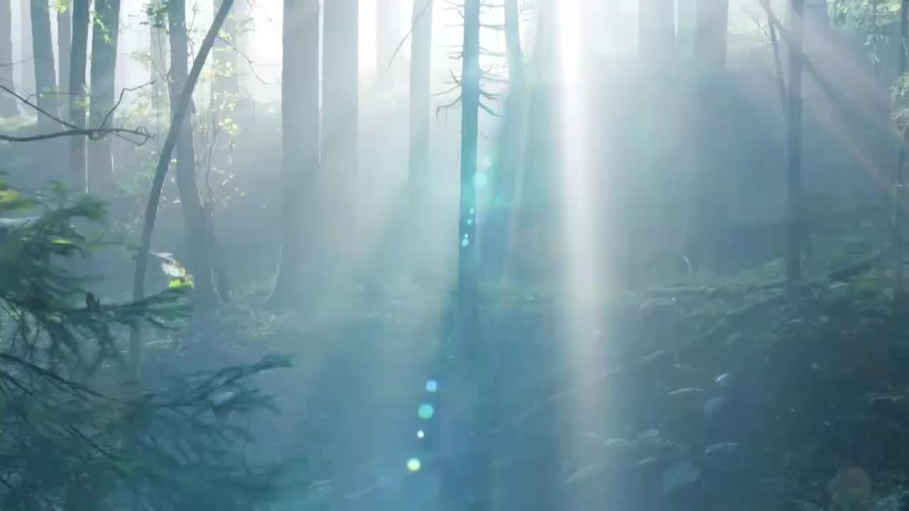 保护森林家园 防患于未燃