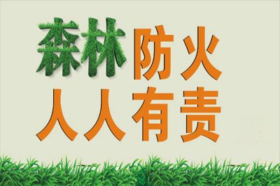 关于倡导文明祭祀  严防森林火灾的公开信