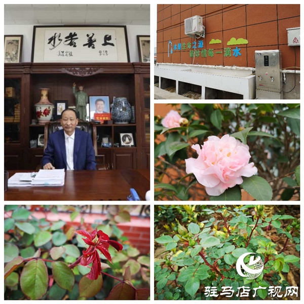 驻马店大海商砼花园工厂——既要金山银山，又要绿水青山