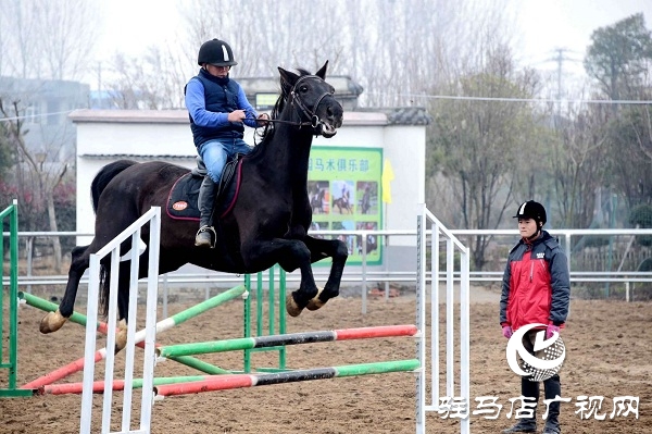 角子山下马场里体验策马奔腾的激情