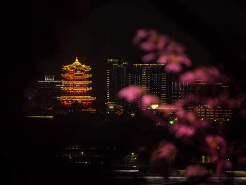 微信图片_20200408085019.jpg
