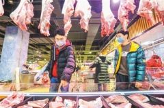 中央储备冻猪肉连续投放 猪肉价格相对平稳有所回落