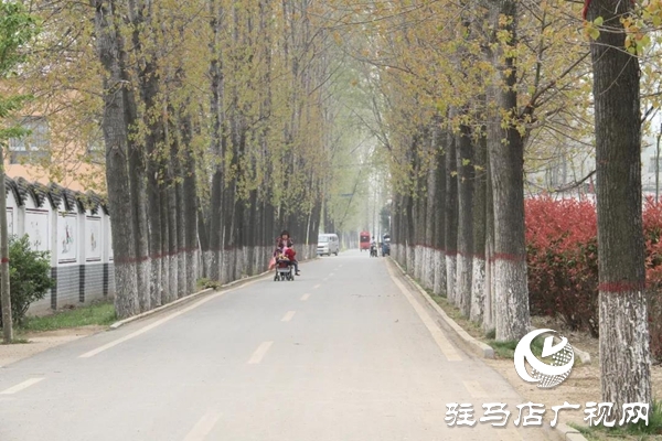 上蔡县栗庄村：群众眼中的“明星村”