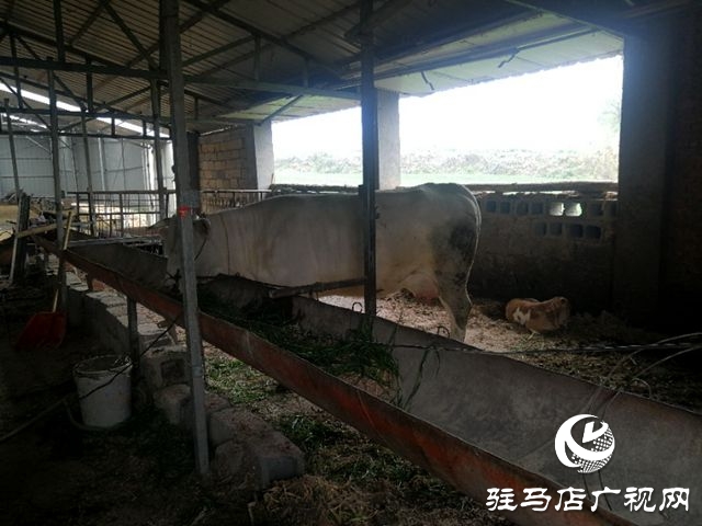 小邓庄村：昔日贫困村 今朝面貌新