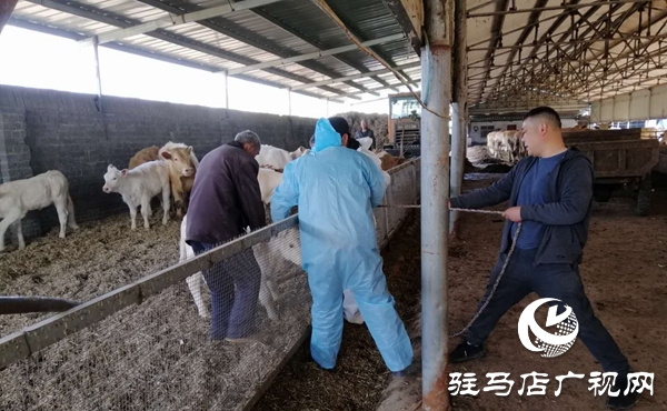 汝南县板店乡筑牢春季动物防疫安全网