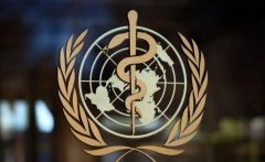 世卫组织官员：“中国抗疫经验值得借鉴” 