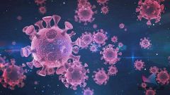 世卫组织总干事：新冠肺炎致死率是H1N1流感10倍