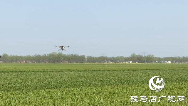 正阳县启动2020年小麦重大病虫害“统防统治”气象保障服务
