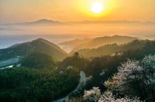 两部门：疫情防控期间旅游景区只开放室外区域