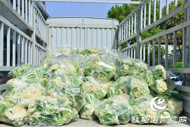 上蔡县：文明单位伸援手，以购代捐解民忧