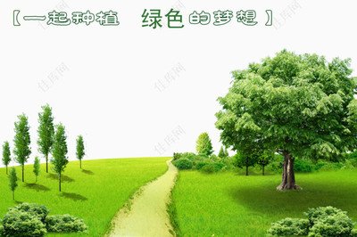 驻马店市开展植树造林现场观摩活动