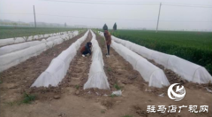 张现超：致富多面手 脱贫带头人