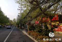 通讯电缆低垂无人管 道路堆放杂物通行难