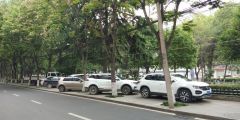 带状游园变身“停车场”？市民有话说……