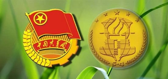 泌阳县卫生监督所陈申被追授第24届“中国青年五四奖章”