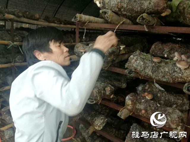 微信图片_20200423101925_副本.jpg