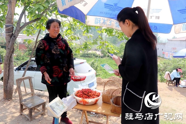 泌阳： 樱桃富民靓乡村