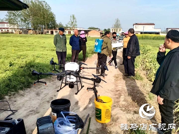 正阳县兰青乡多措并举防虫害