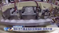 国际货币基金组织、世贸组织发联合声明：各国应保持贸易开放
